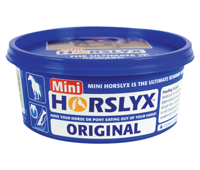 Horslyx Original Mini Vit & Mineral Lick