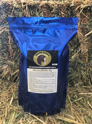 Mane Event Nervous Neddies