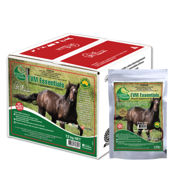 Evm Essentials Package