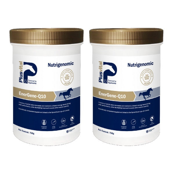 Plus Vital Energene Q10