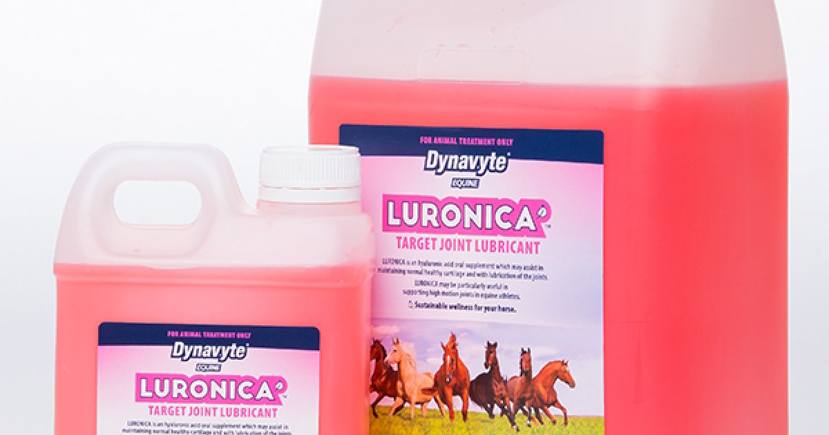 Dynavyte Equine Luronica Joint Lubricant