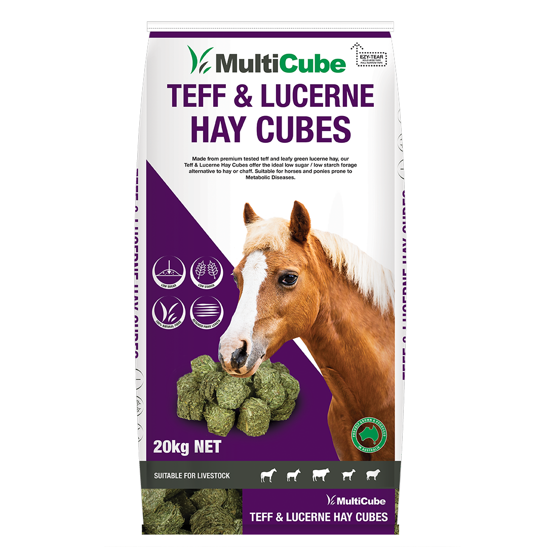 Multi Cube Mix Lucerne & Teff Plain White