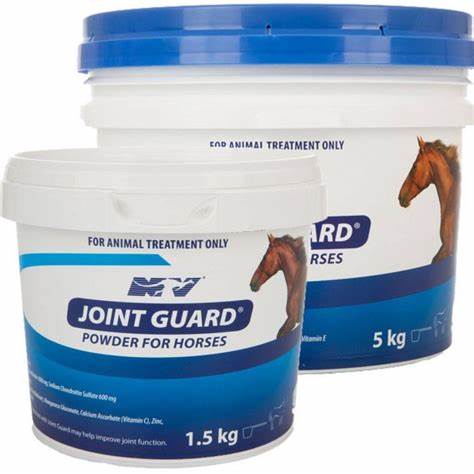 Joint Guard