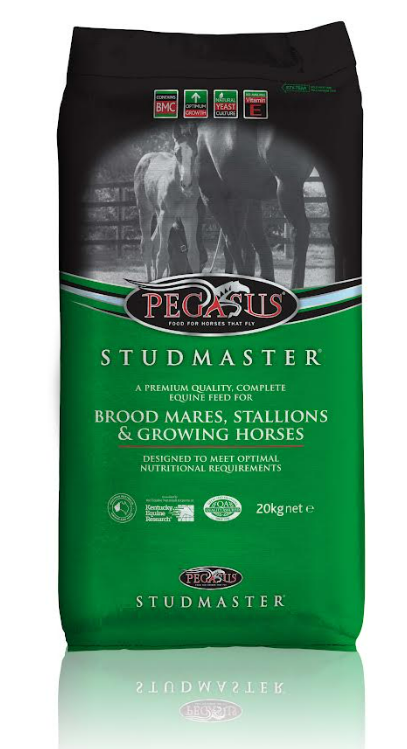 Pegasus Studmaster