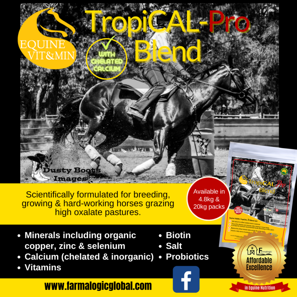 Equine Vit & Min Evm Tropical Pro
