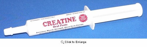 Creatine Paste 30gm