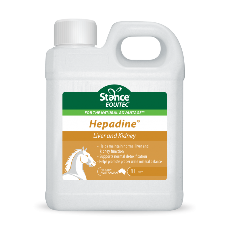 Stance Equitec Hepadine