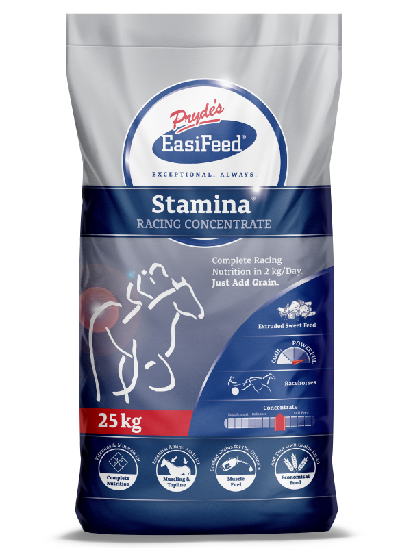Prydes Easi Stamina