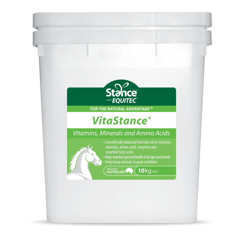Stance Equitec Vitastance