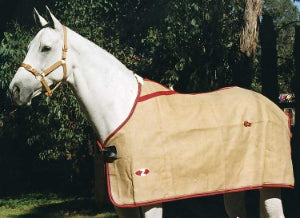Rug- Nat Jute (unlined) 69