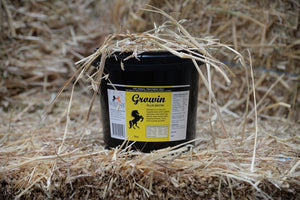 Equine Technology Growin Plus Biotin