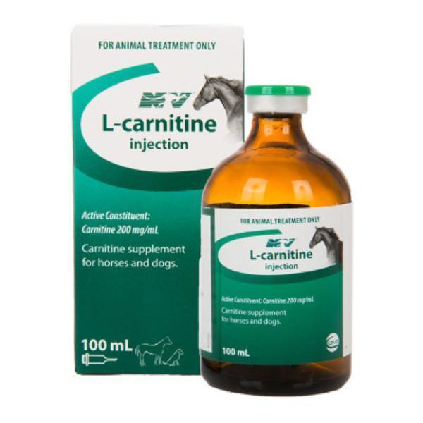 NV L-Carnitine 100ml Injection