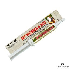 Mecworma & Bot