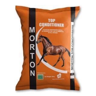 Morton Top Conditioner