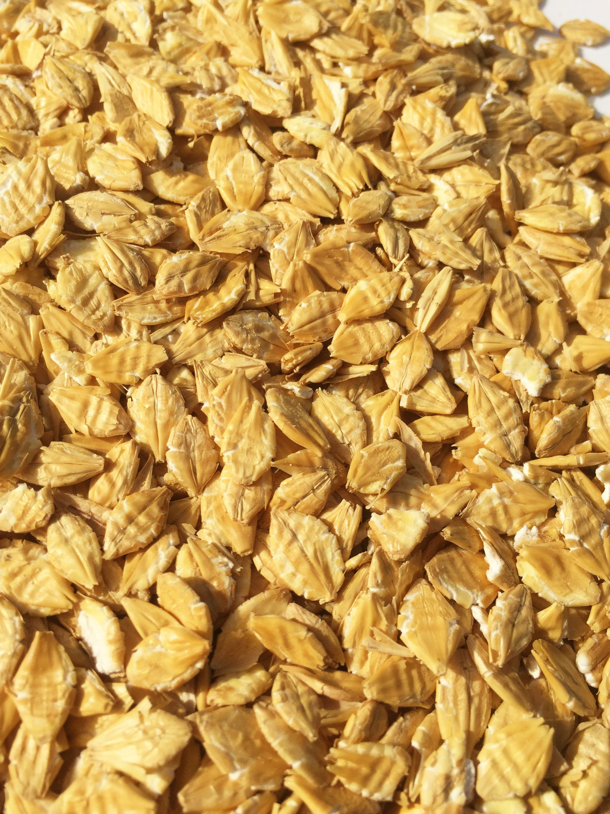 Barley Flaked Thompson and Redwood 25kg