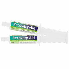 Ranvet Recovery-Aid Paste