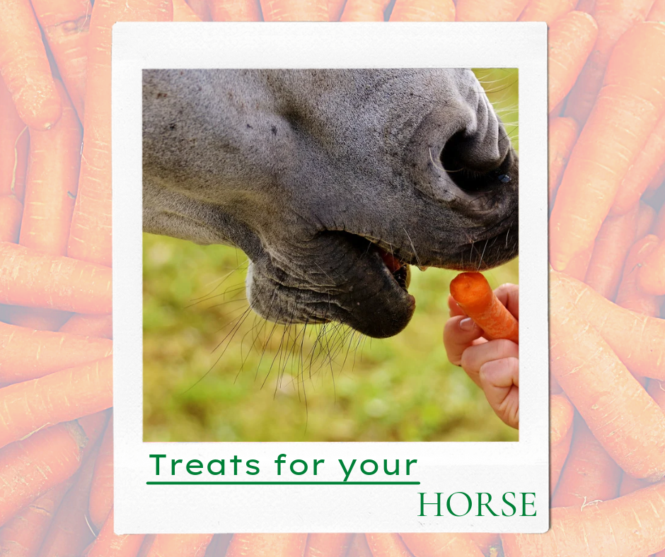 Safe Treats to Feed Your Horse