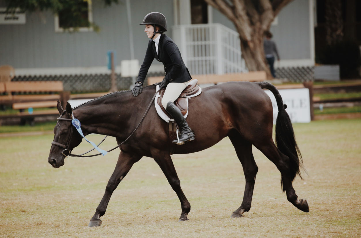 How to care for your horse after a ride 