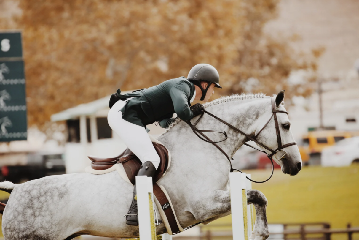 Cross-Training Benefits For Your Horse