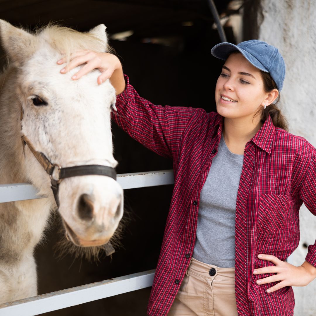 Feeding Psyllium Husk to Horses: The Right Way