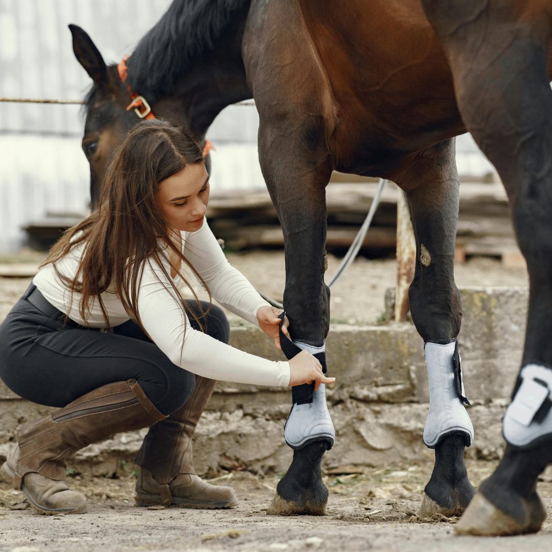 Horse Leg Protection: Boots, Bandages & Tendon Heat Risks Explained