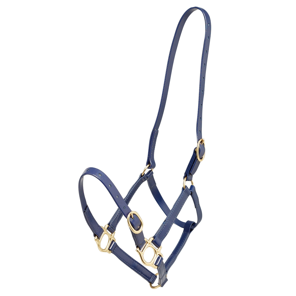 Halter Zilco Pn 19mm Cob Blue