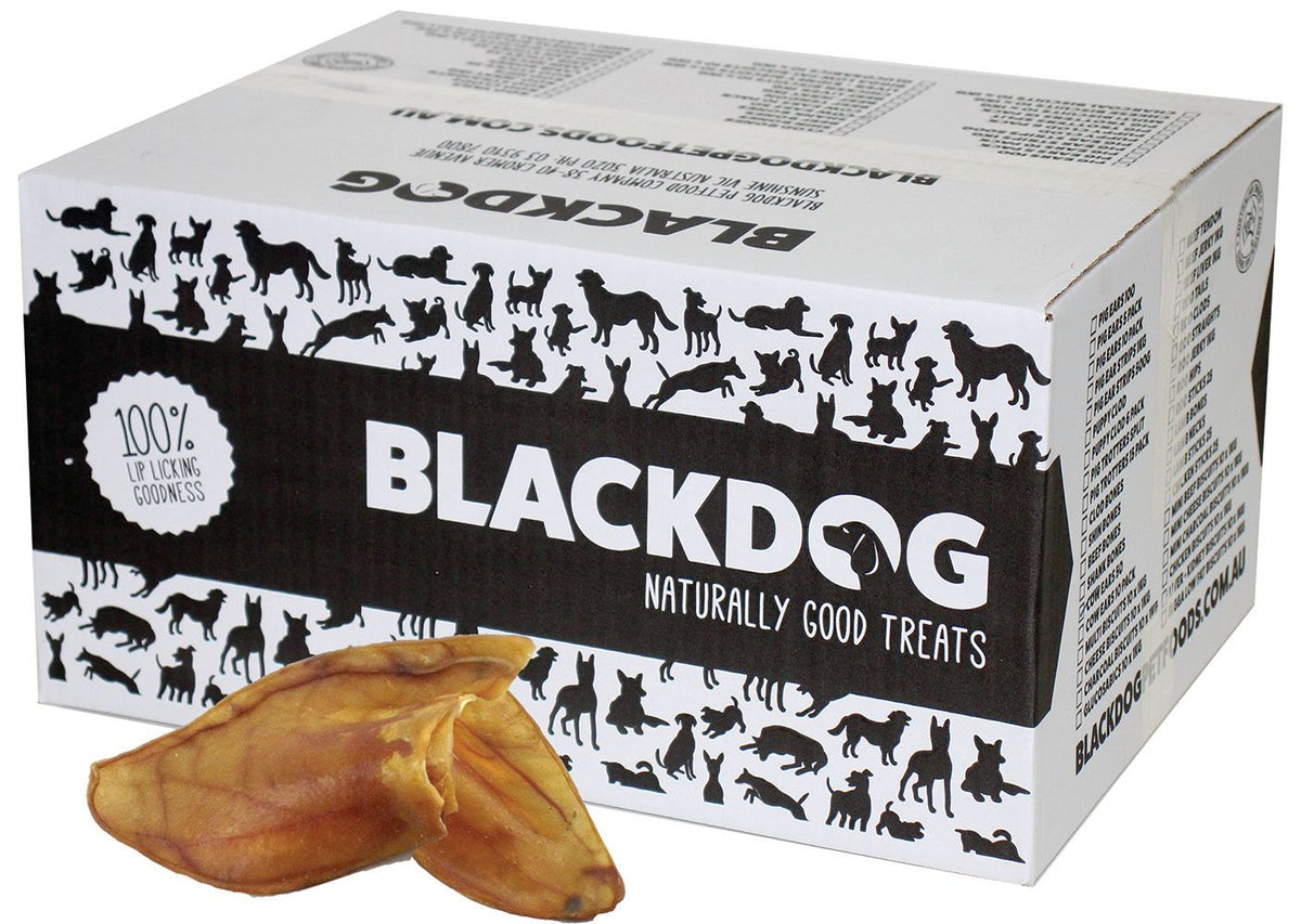 Black Dog Cow Ears Single