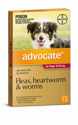 Advocate Dog Large 10-25kg Red Single Tube