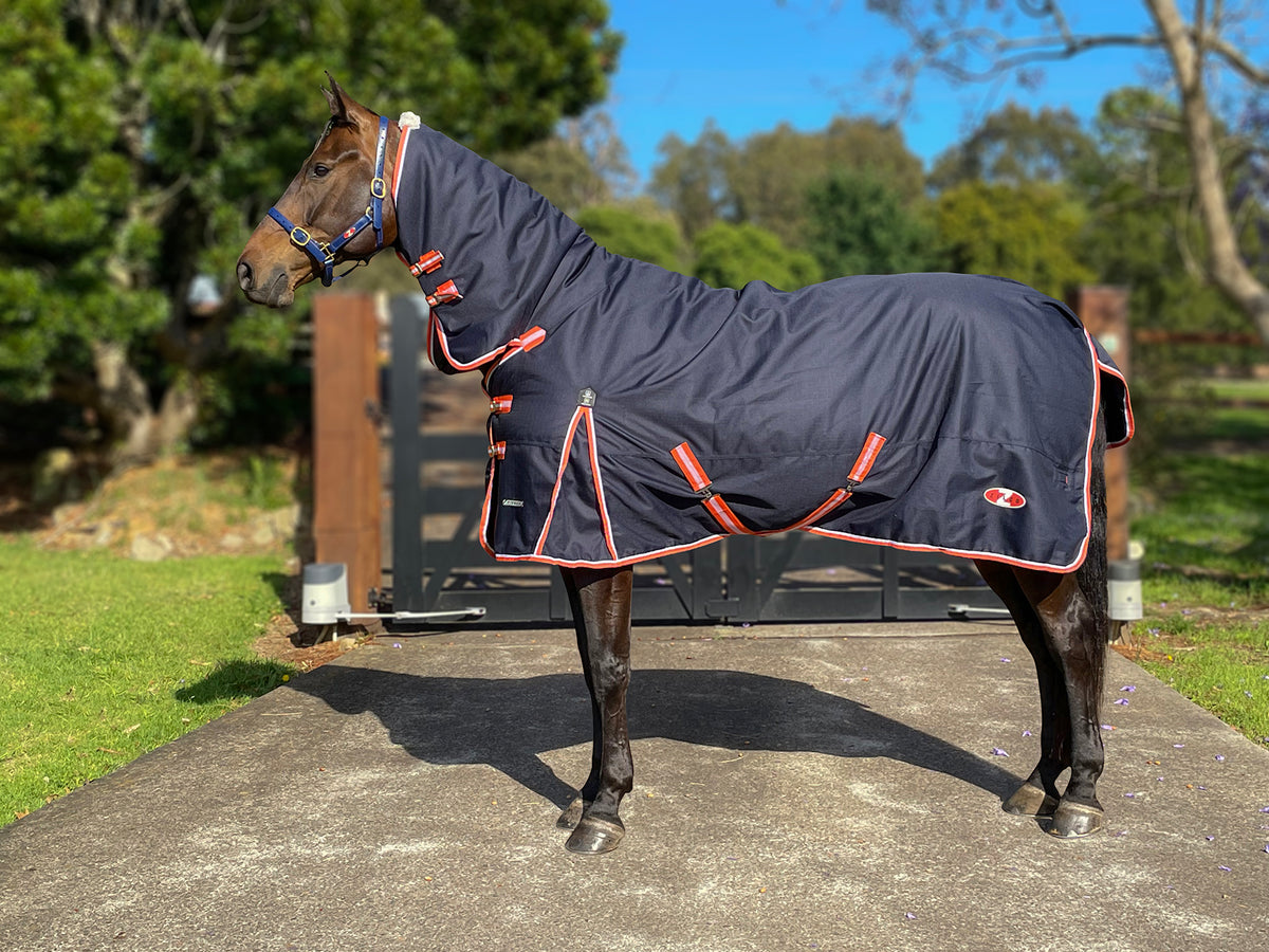 Combo Zilco Pioneer 200 - 59