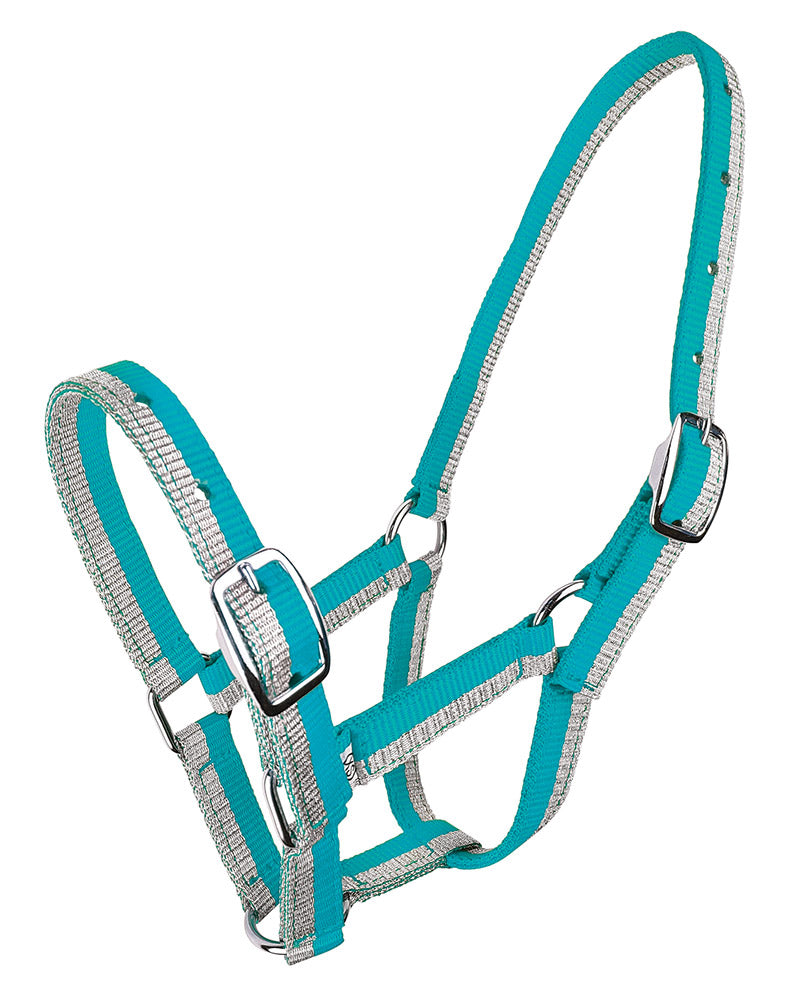 Halter Foal Sparkle - Turquoise/silver