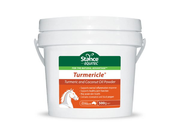 Stance Equitec Turmericle 500gm