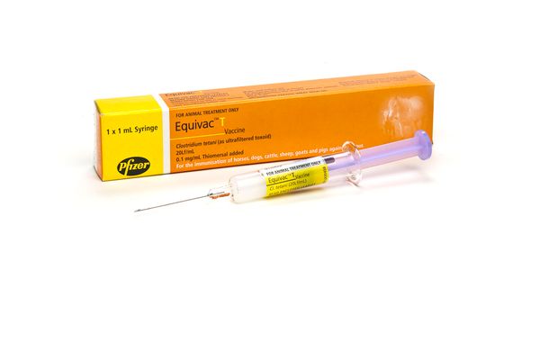 Equivac T Tetanus Vaccine