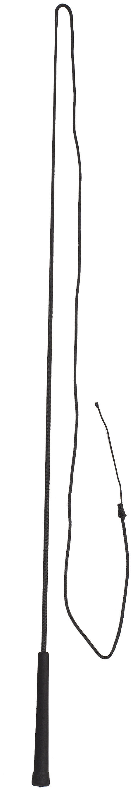 Lunge Whip Black 160 Cm