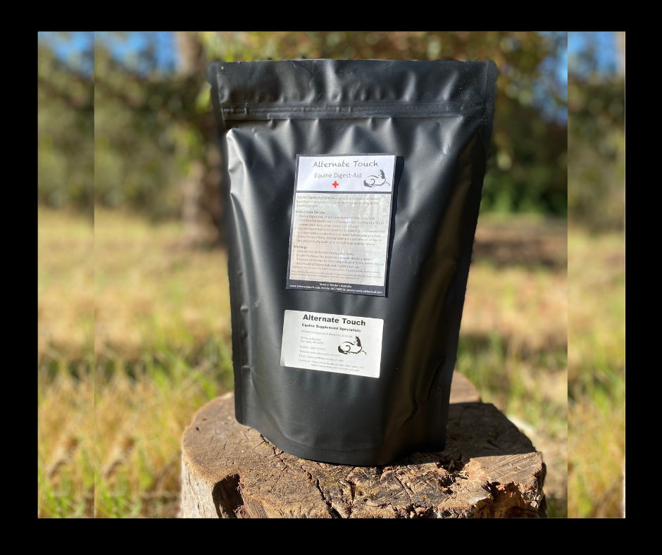 Alternate Touch Equine Digest Aid