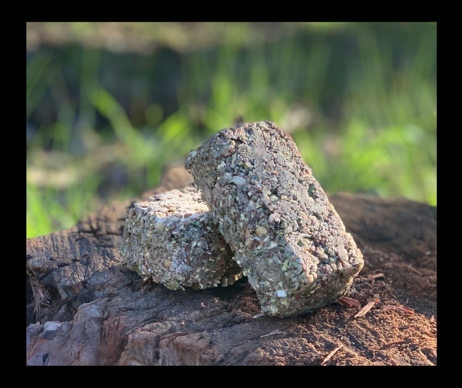 Alternate Touch Equine Digestion Bars