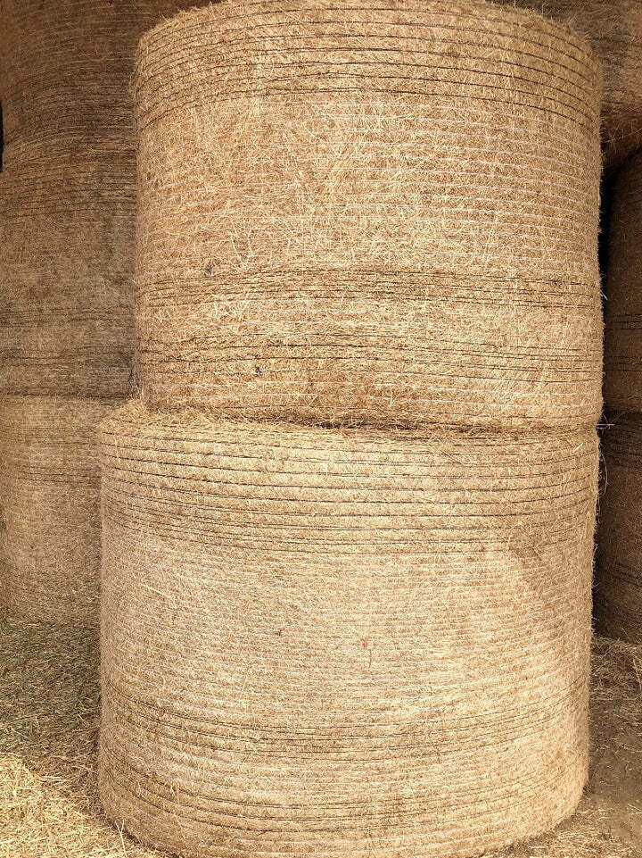 Hay Meadow Roll Small
