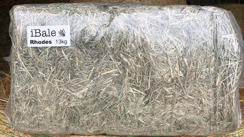 Hay Rhodes Grass I-bale