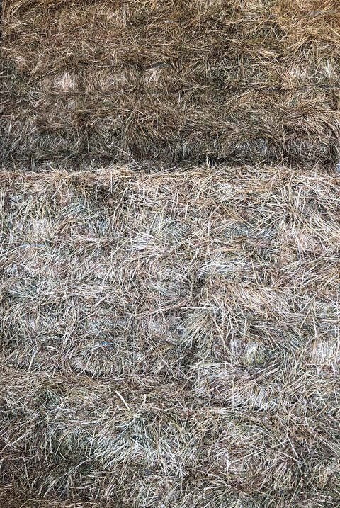 Hay Meadow Bale