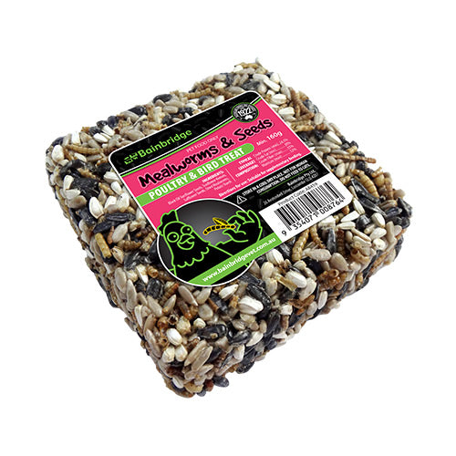 Treat Block - Mealworms &amp; Seeds