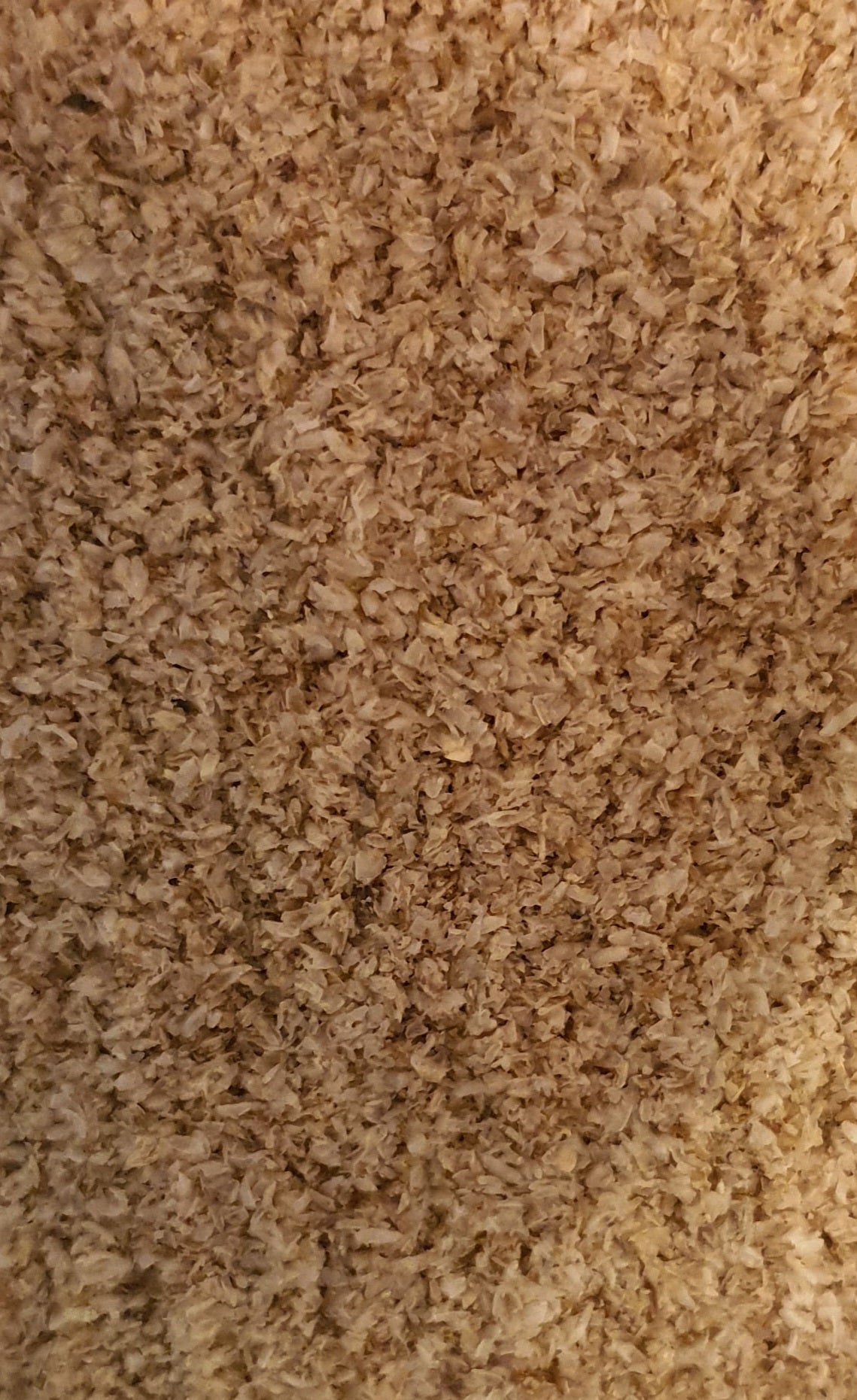 AHS - Psyllium Husk 1kg