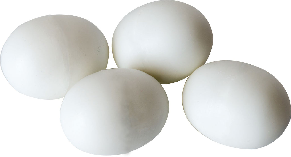 Poultry Egg False Small Pk4
