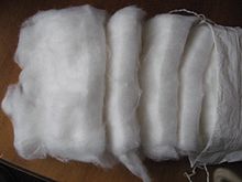 Cotton Wool 500gm