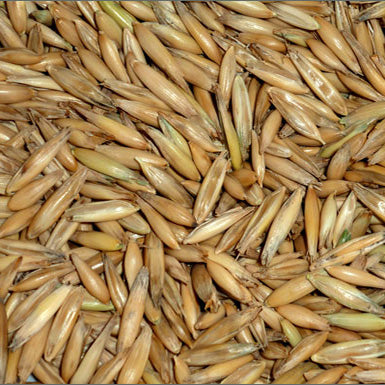 De-hulled Oats Consolidated Nutrition