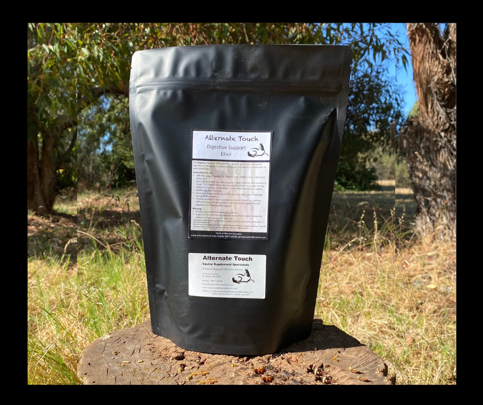 Equine Digestive Support Elixir 1L Event Pack