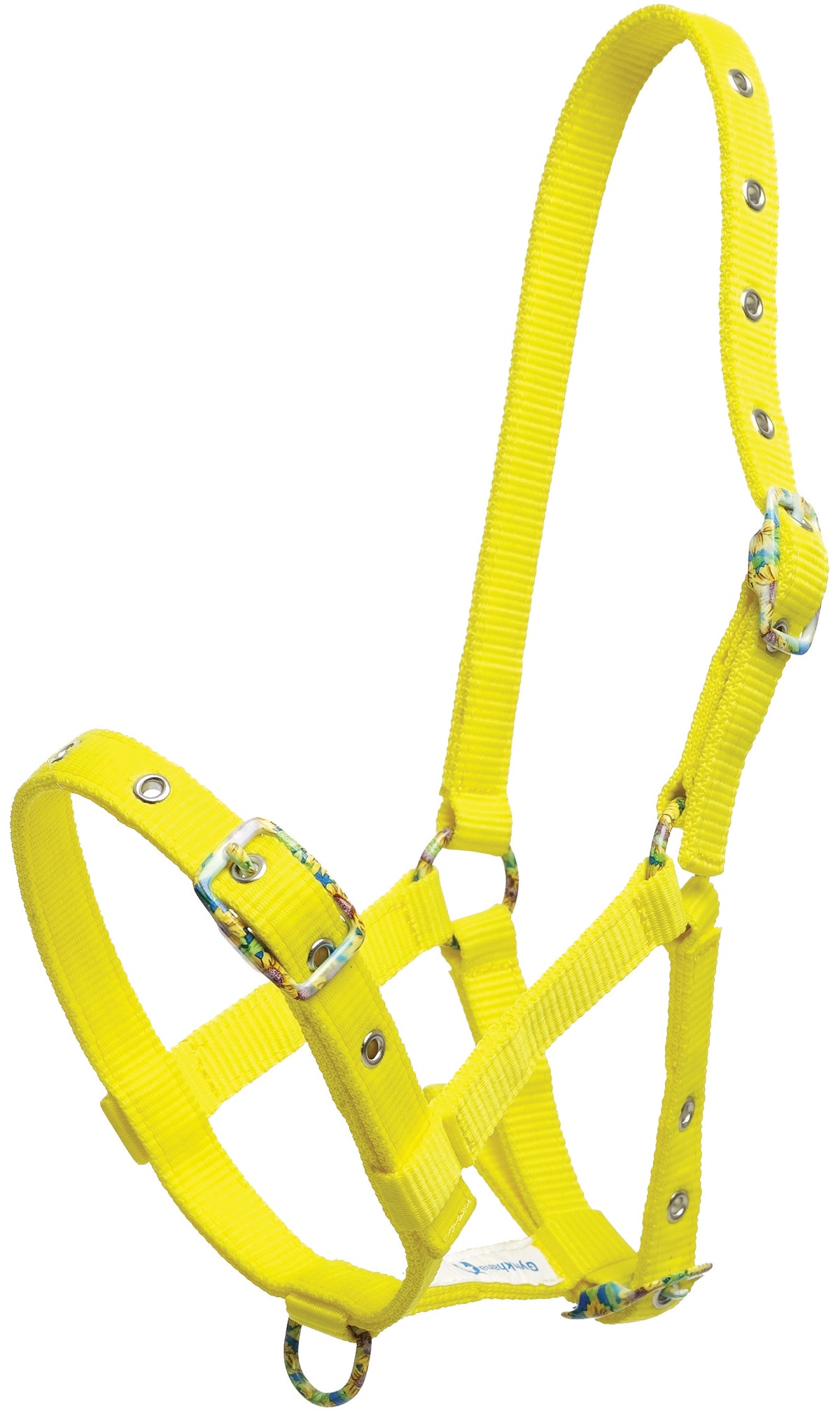 Halter Foal With Coloured Buckle Yellow