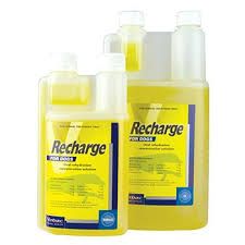 Virbac Recharge Greyhound 1lt