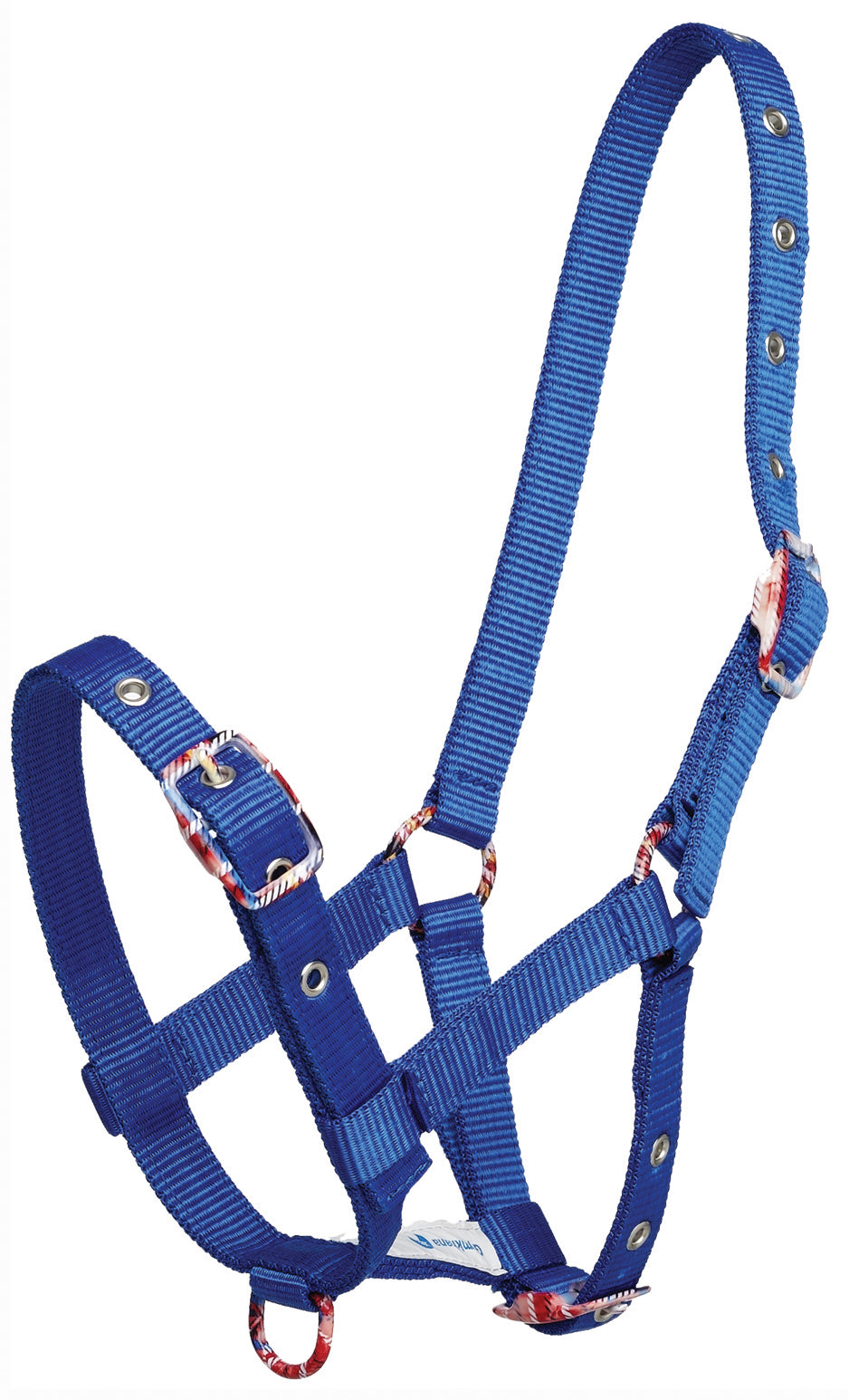 Halter Foal With Coloured Buckle Royal