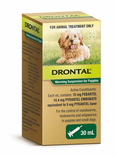 Drontal Puppy Syrup 30ml