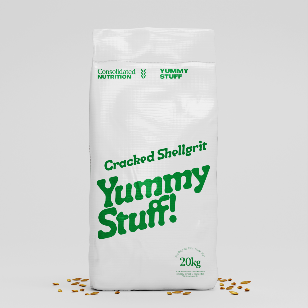 Shell Grit Crushed 05kg