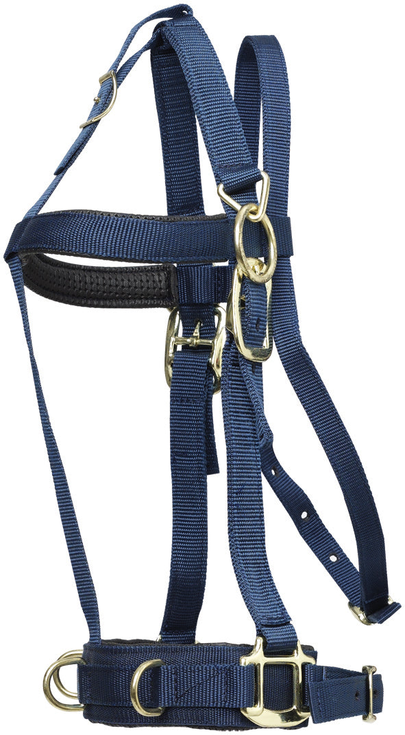 Lunge Halter Deluxe Cob/full